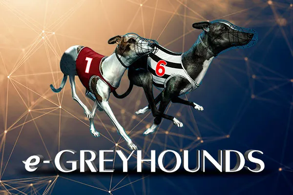 Greyhounds wedden – wed op windhondenraces bij Slotseater sport